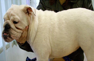 После лечения